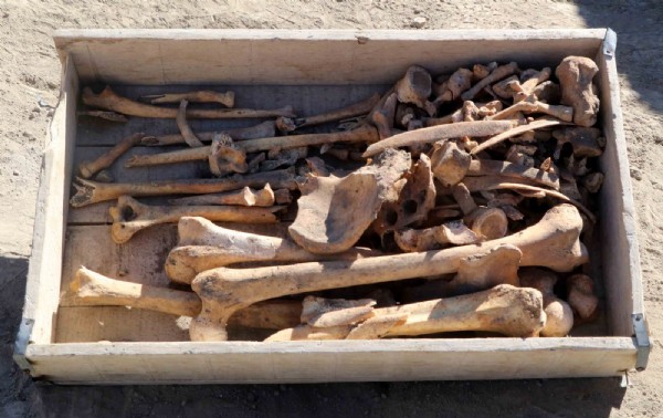 Burdur'da bulundu: 5 bin yıllık gizem!